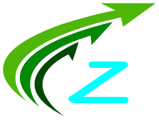 Company Z, LLC Logo